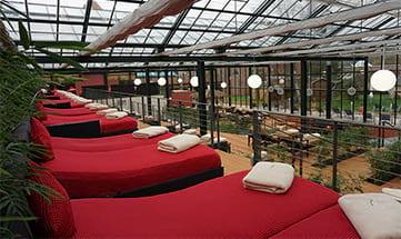 Rote Liegen im Glashaus