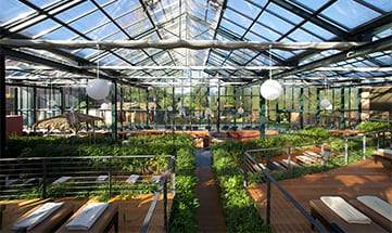 Grünes Zentrum im Glashaus