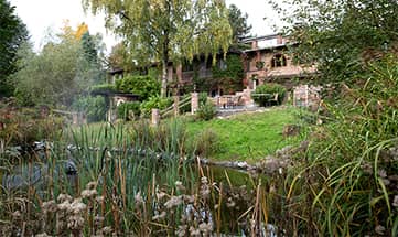 Grüne Wiese im Garten