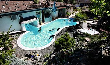 Luftaufnahme vom Garten mit Pool