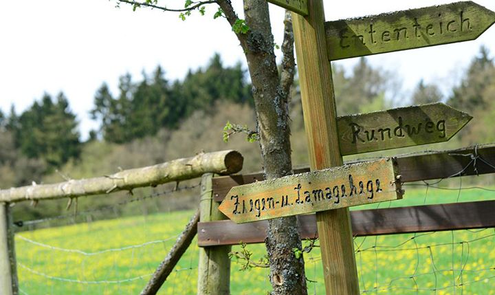 Freizeittipp  Ausflüge durch die Natur