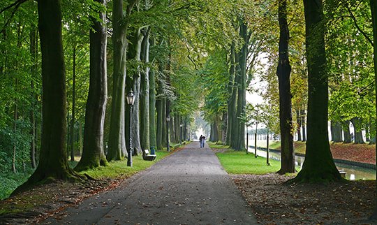 Parklandschaft rund um Schloss Nordkirchen